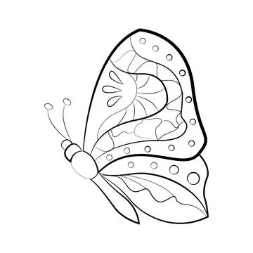 Butterfly with a pattern on the wings, exotic insects, print for tattoo. Vector Stock Illustration