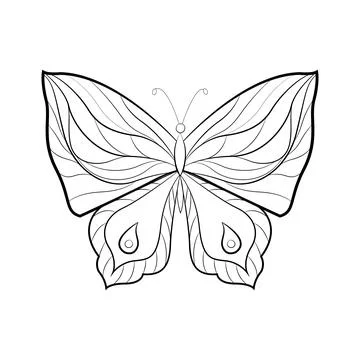 Butterfly with a pattern on the wings, exotic insects, print for tattoo. Vector Stock Illustration