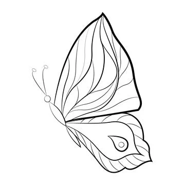 Butterfly with a pattern on the wings, exotic insects, print for tattoo. Vector Illustrazione stock