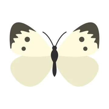 Butterfly with pattern on wings icon, flat style Illustrazione stock