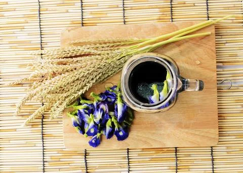 Butterfly pea blue drinks backgrounds above Fotos Stock