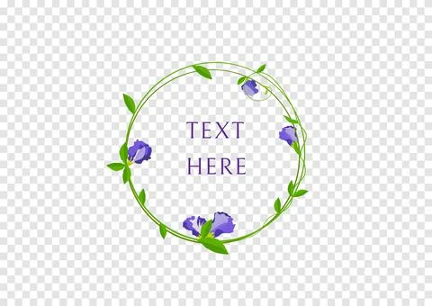 Butterfly pea flower frame vector isolated on transparency background Stock Illustration