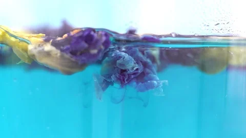 Butterfly-pea flower tea. Stock Footage 121655606