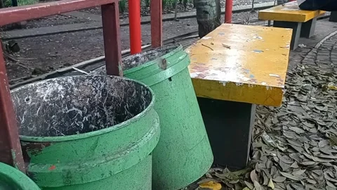 Butterfly perched on trash can Video stock 196774436