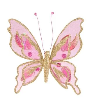 Butterfly Stock Photos