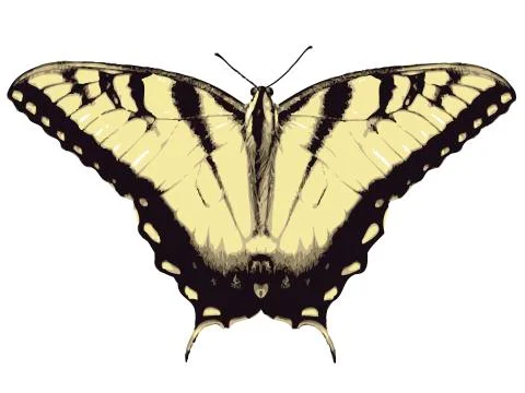 Butterfly Foto stock