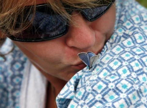 Butterfly Stock Photos