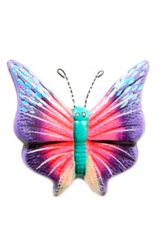 Butterfly Stock Photos