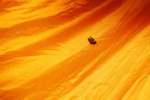 Butterfly Stock Photos