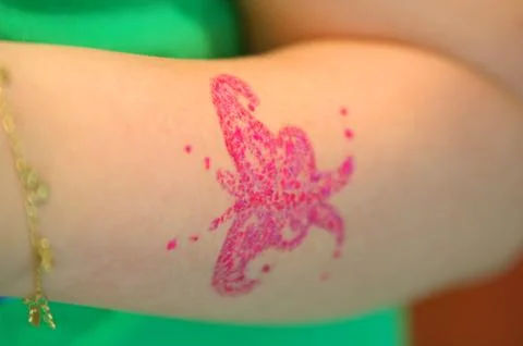 Butterfly Stock Photos