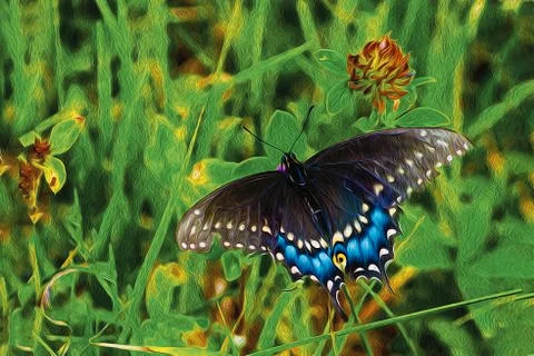 Butterfly pollinates some clover Stock Photos