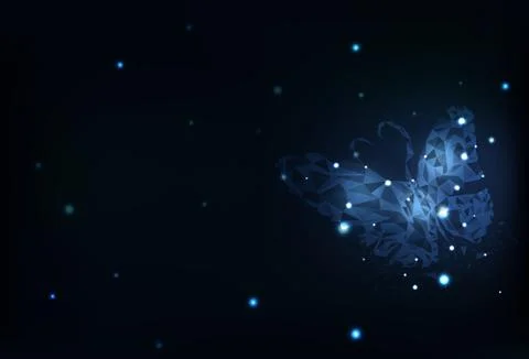 Butterfly polygon technology abstract background blue futuristic vector Stock Illustration