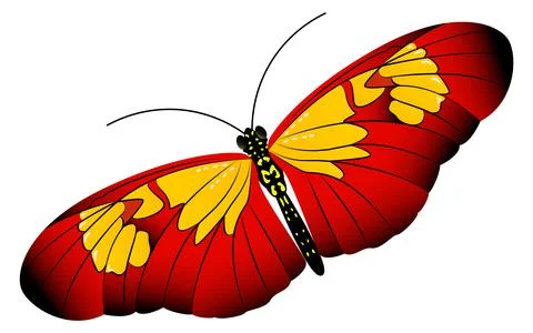 Butterfly with red yellow patterned wings. Summer moth Illustrazione stock