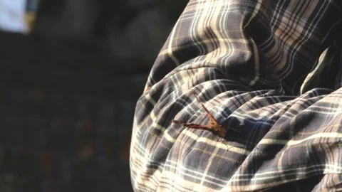 Butterfly Resting on Arm Video stock 85569712