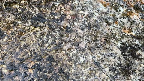 Butterfly on sandy rock surface in Cambodia Stock Footage 336781897