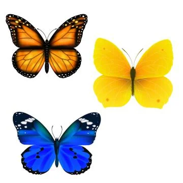 Butterfly Set Stock Illustration