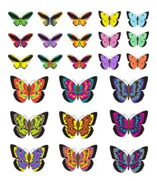 Butterfly set, isolated on white background. Multicolored butterflies. Vect.. Stock Illustration