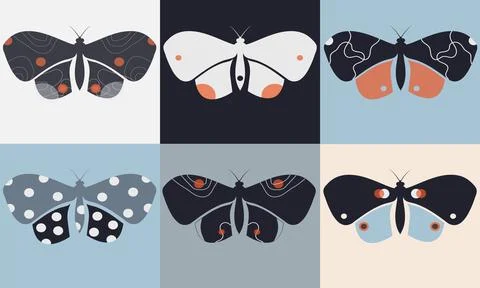 Butterfly set for unique design. Vector flat illustration Stock Illustration