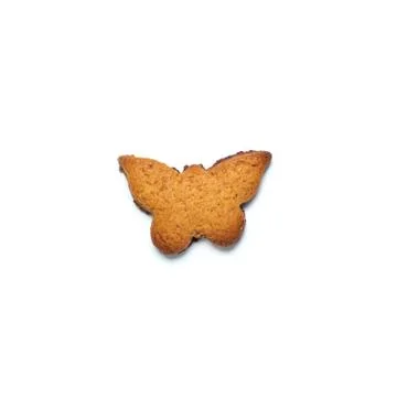 Butterfly shape cookie. Cookie isolated on a white. Stock Photos