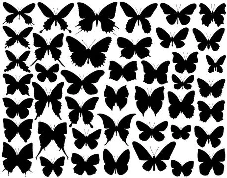 Butterfly shapes Stock-Illustration