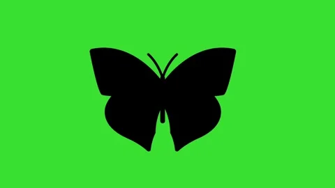 Butterfly Silhouette Icon 2D Animation. Stock Footage 313952170