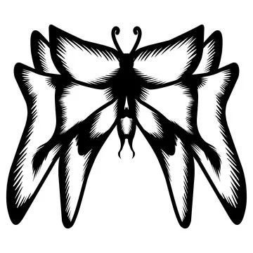 Butterfly silhouette icon Illustrazione stock