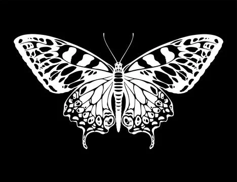 Butterfly silhouette Ilustración de archivo