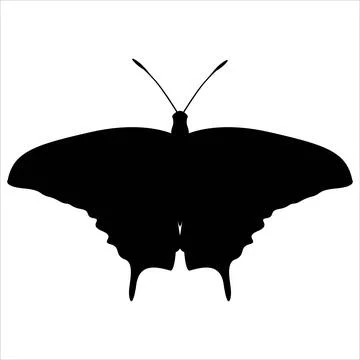 Butterfly silhouette in vector for illustration. A simple form of an insect. Stock Illustration