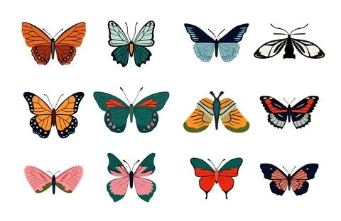 Butterfly simple icon set. Vector Illustration. EPS10 Stock Illustration