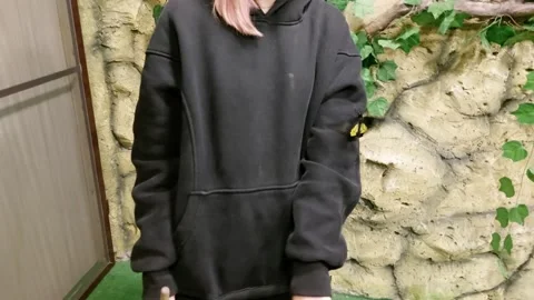 A butterfly sits on a persons hand, close-up Stock Footage 304106941