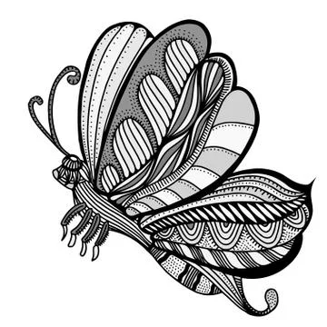 Butterfly sketch vector Illustrazione stock