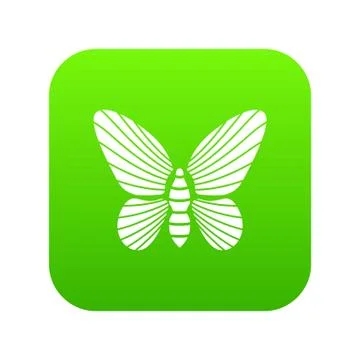 Butterfly with striped pattern on wings icon green vector Stock Illustration