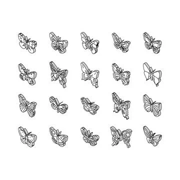 Butterfly summer spring insect isometric icons set vector Stock Illustration