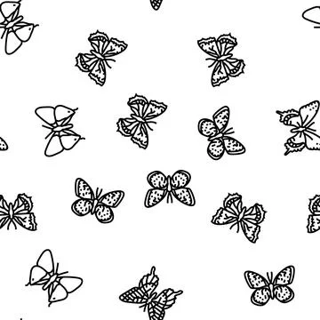 Butterfly summer spring insect vector seamless pattern Illustrazione stock