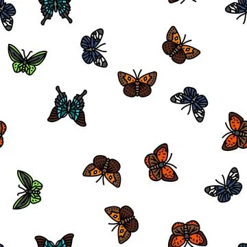 Butterfly summer spring insect vector seamless pattern Stock Illustration