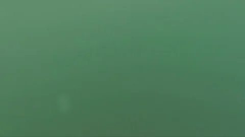 Butterfly swim pov Stock Footage 92516341