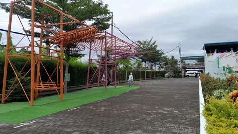 Butterfly swing Stock Footage 322088147