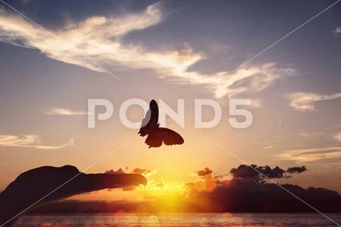 Butterfly takes flight from a human hand Stock Photos