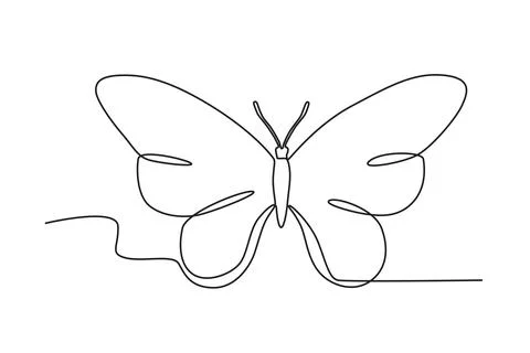 A butterfly top view Stock Illustration