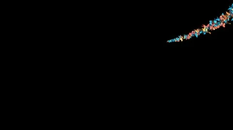 Butterfly trail Stock Footage 10733505