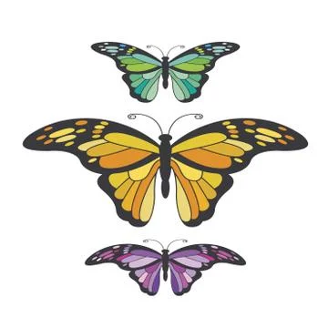 Butterfly variations Stock Illustration