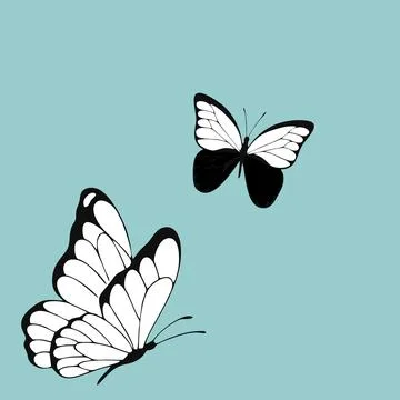 Butterfly vector animation background with minimalist monochrome line art style 스톡 일러스트