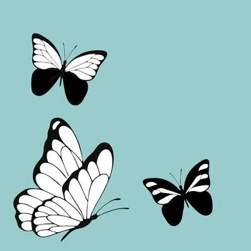 Butterfly vector animation background with minimalist monochrome line art style 스톡 일러스트