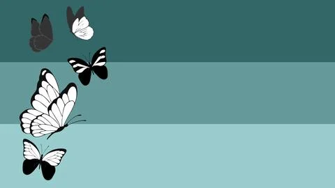 Butterfly vector animation background with minimalist monochrome line art style 스톡 일러스트