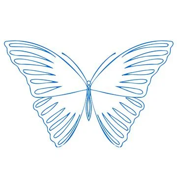Butterfly vector icon Stock Illustration