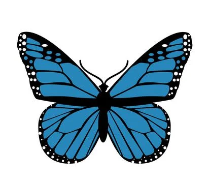 Butterfly. Vector illustration design Stock Illustration