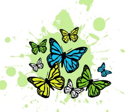 Butterfly. Vector illustration design Stock Illustration