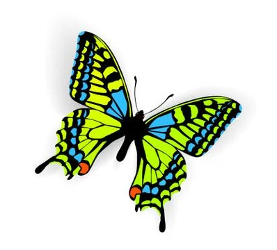 Butterfly vector illustration Stock Illustration