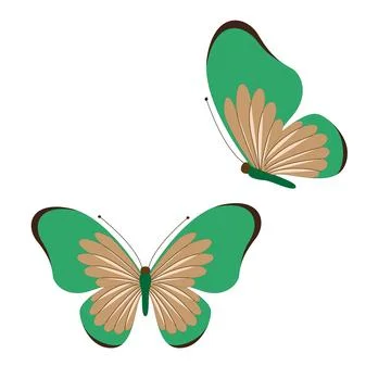 Butterfly vector illustration Stock Illustration