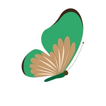 Butterfly vector illustration Stock Illustration
